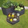 Modular Hexagon Raised Bed Kit, 21.5" -Eco Garden Shop 8614244 04V