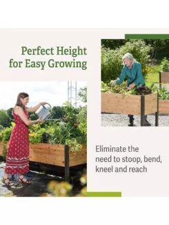 Elevated Planter Box, 2' X 8' -Eco Garden Shop B00EOW8FHU raisedbed benefits 3