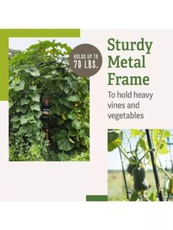 Titan Squash Tunnel -Eco Garden Shop B07932DMCR plantsupport benefits 2