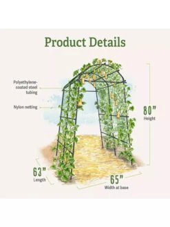 Titan Squash Tunnel -Eco Garden Shop B07932DMCR plantsupport product details