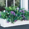 23" Self-Watering Window Box -Eco Garden Shop GS34496 02 tif