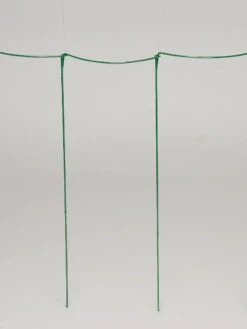 Curved Linking Stakes -Eco Garden Shop GS35241 04S tif