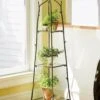 Branch Plant Stand -Eco Garden Shop GS37315 01 tif