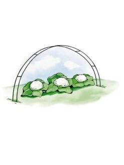 Super Hoops, Set Of 6 10 Super Hoops, Set Of 6 -Eco Garden Shop GS39423 02S 3 4