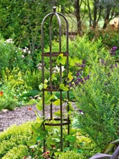 Jardin Bird Cage Support, 26" -Eco Garden Shop GS39529 01 tif