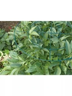 Grow Through Supports, Set Of 3 -Eco Garden Shop GS40172 01 1