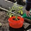 Tomato Halos, Set Of 3 -Eco Garden Shop GS40357 01 tif