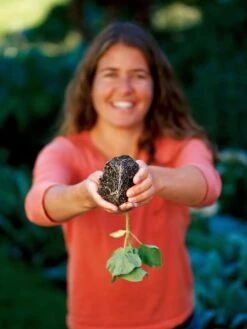 Deep Root Seedstarting System, Black -Eco Garden Shop GSCOVSPR06D2 01