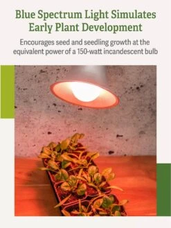 Miracle LED® Absolute Daylight™ Max Flowering Grow Light Bulb -Eco Garden Shop Miracle Daylight Bulb 4