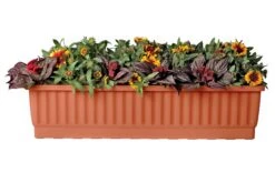 39" Self-Watering Window Box 9 39" Self-Watering Window Box -Eco Garden Shop gs34497 01s