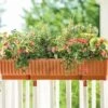39" Self-Watering Window Box 1 39" Self-Watering Window Box -Eco Garden Shop gs34503 01