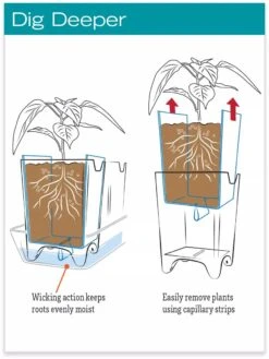 Stoneware Self-Watering Windowsill Planters, Set Of 2 -Eco Garden Shop hiw 8593943 jpg